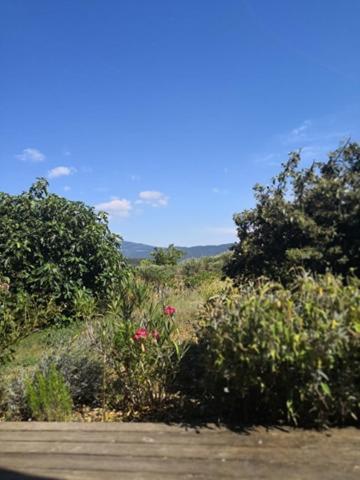Villa Spacieuse Avec Terrasse Et Vue Mont Ventoux Entrechaux Bagian luar foto