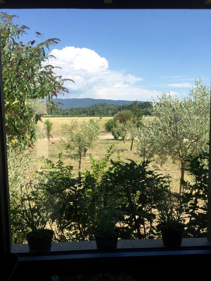 Villa Spacieuse Avec Terrasse Et Vue Mont Ventoux Entrechaux Bagian luar foto